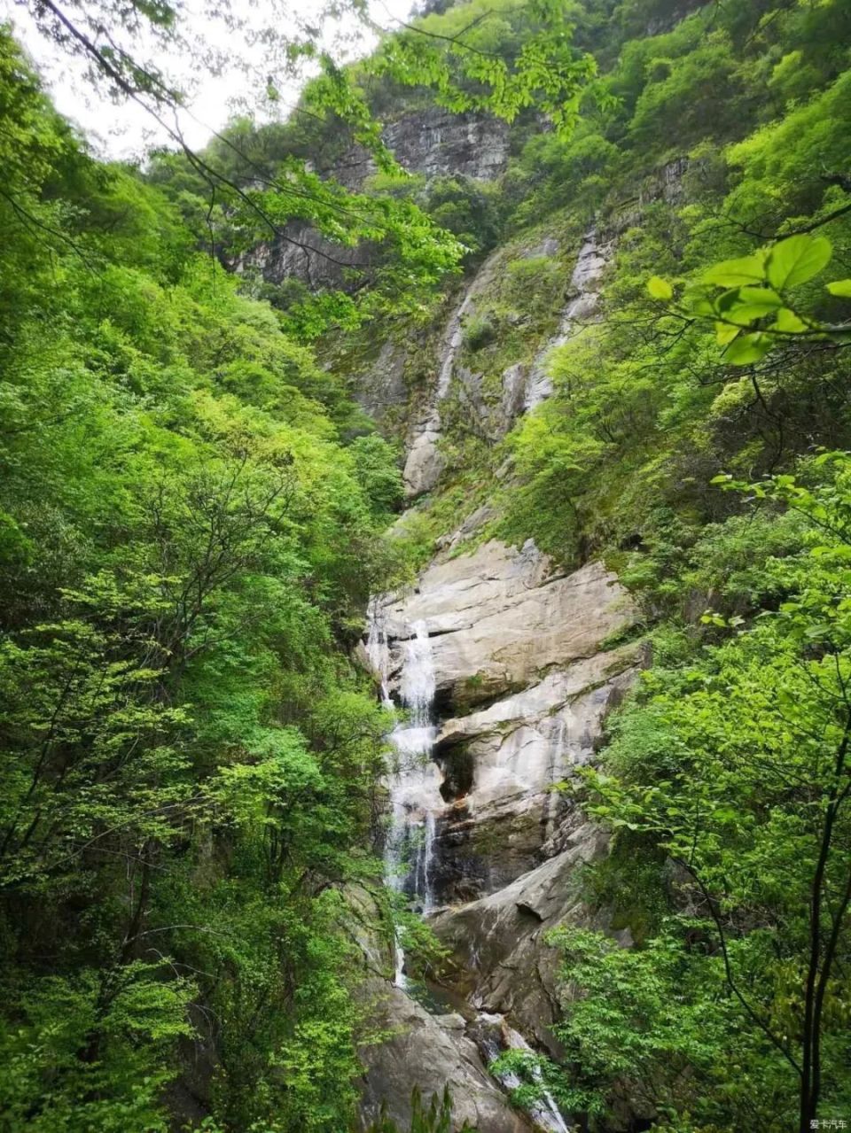 徽常清凉 | 向山而行,自在寻清凉!