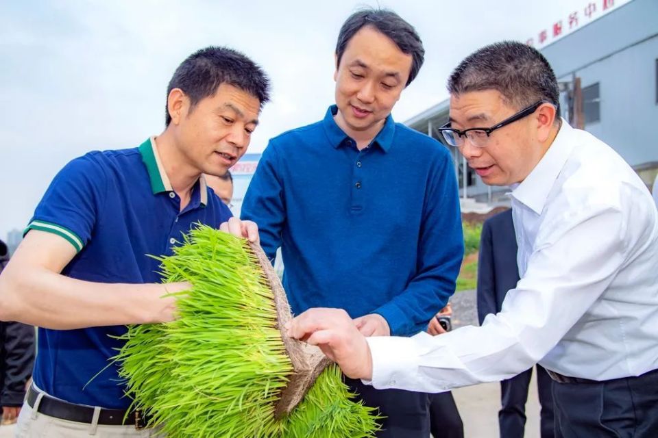 张健希望小学所有图片图片