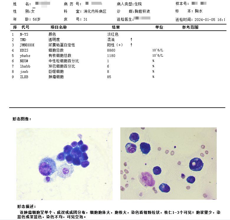 细胞角蛋白19片段图片
