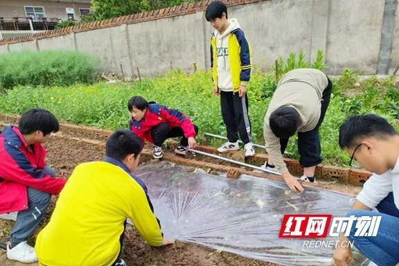 大通湖区北洲子镇中学组织开展劳动教育实践活动