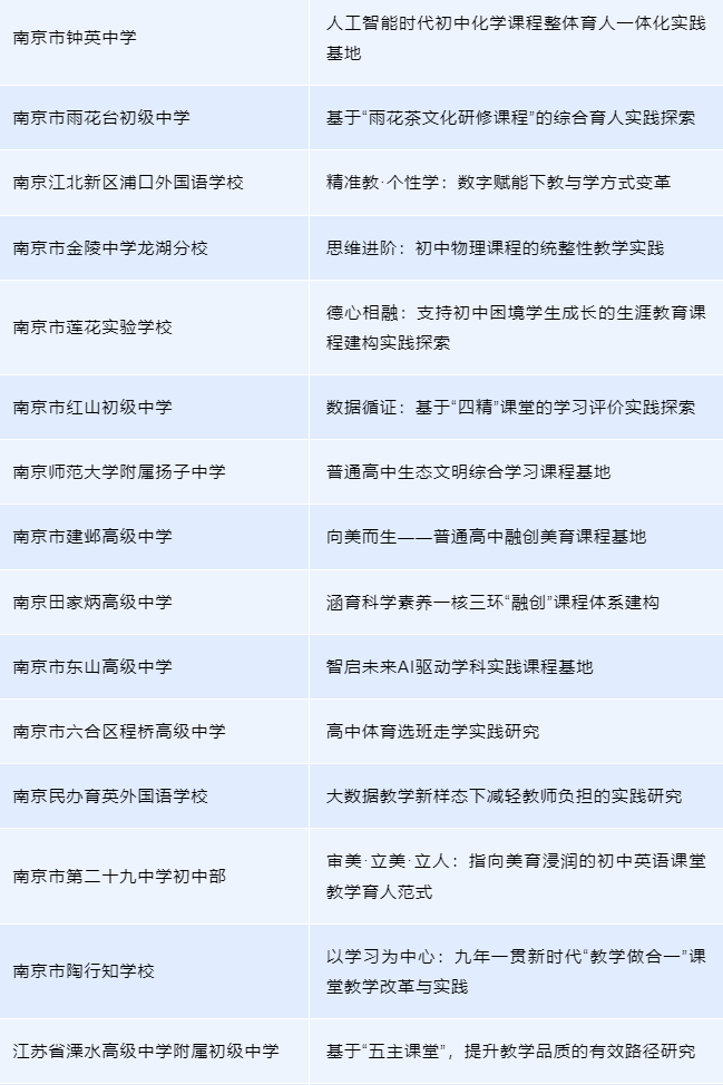 (30个)2024年南京市中学课程教学深化改革项目