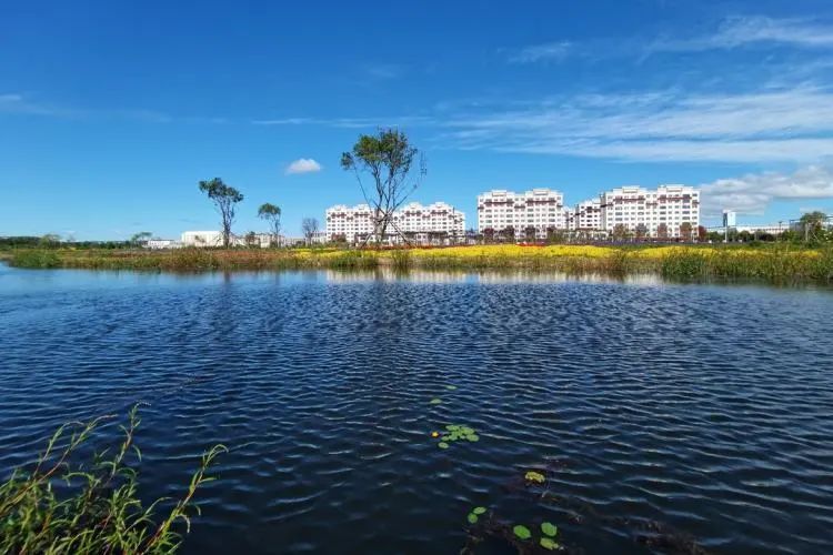 城中生态园_腾讯新闻