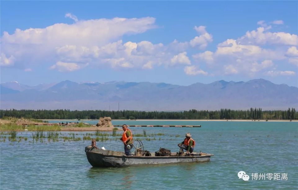 "在博州五一水库旁