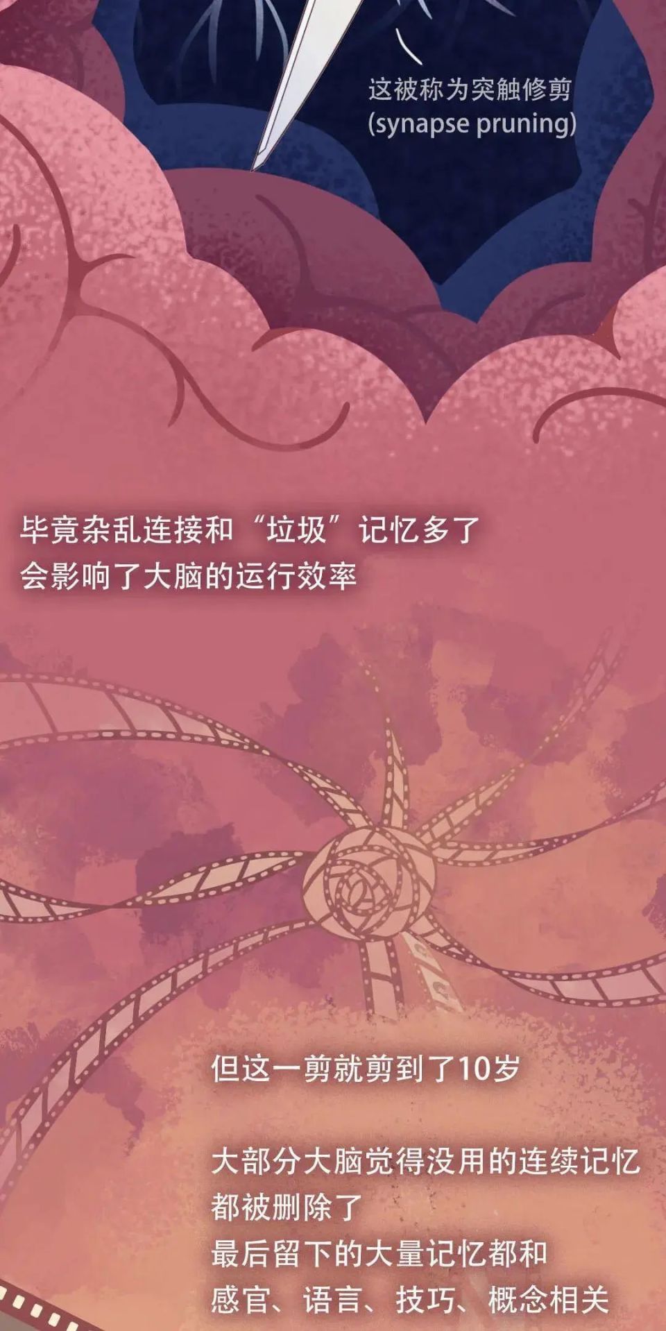 大脑为什么要删除你两岁前的记忆?