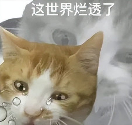 背着女友和粉丝搞破鞋,贵圈很久没见这种骚操作了!_腾讯新闻