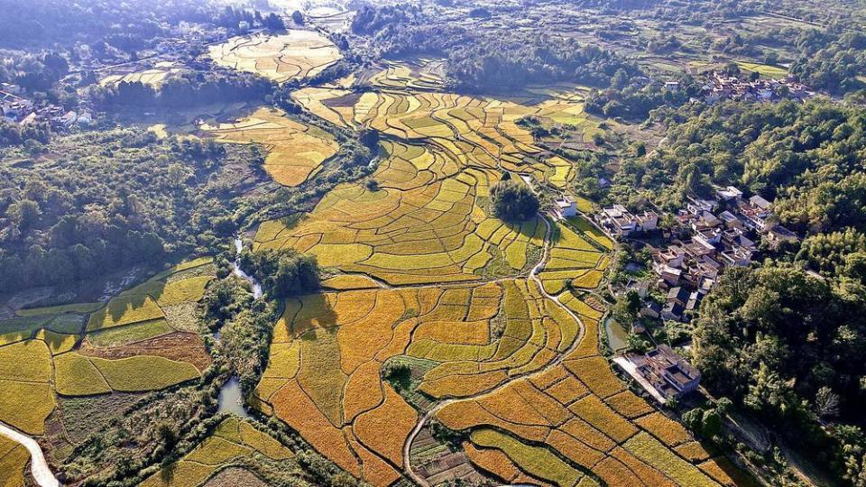韶关乐昌庆云镇:看"粮"辰美景 闻稻穗香气_腾讯新闻