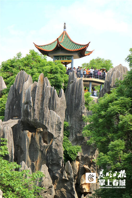 云南石林是世界喀斯特的精华,中国阿诗玛的故乡,石林风景区位于云南省