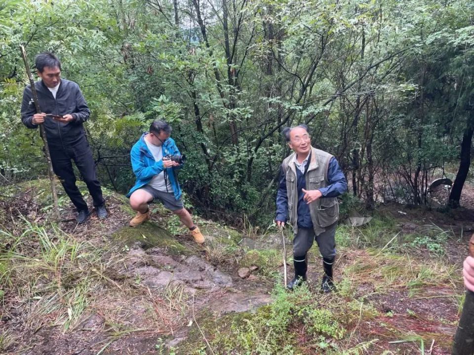 解密荔枝道：杨贵妃吃的荔枝从哪儿来？又如何来？_腾讯新闻