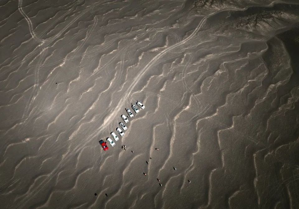 梦境解析，面对蟒蛇之咬——从恐惧中汲取生命力的启示