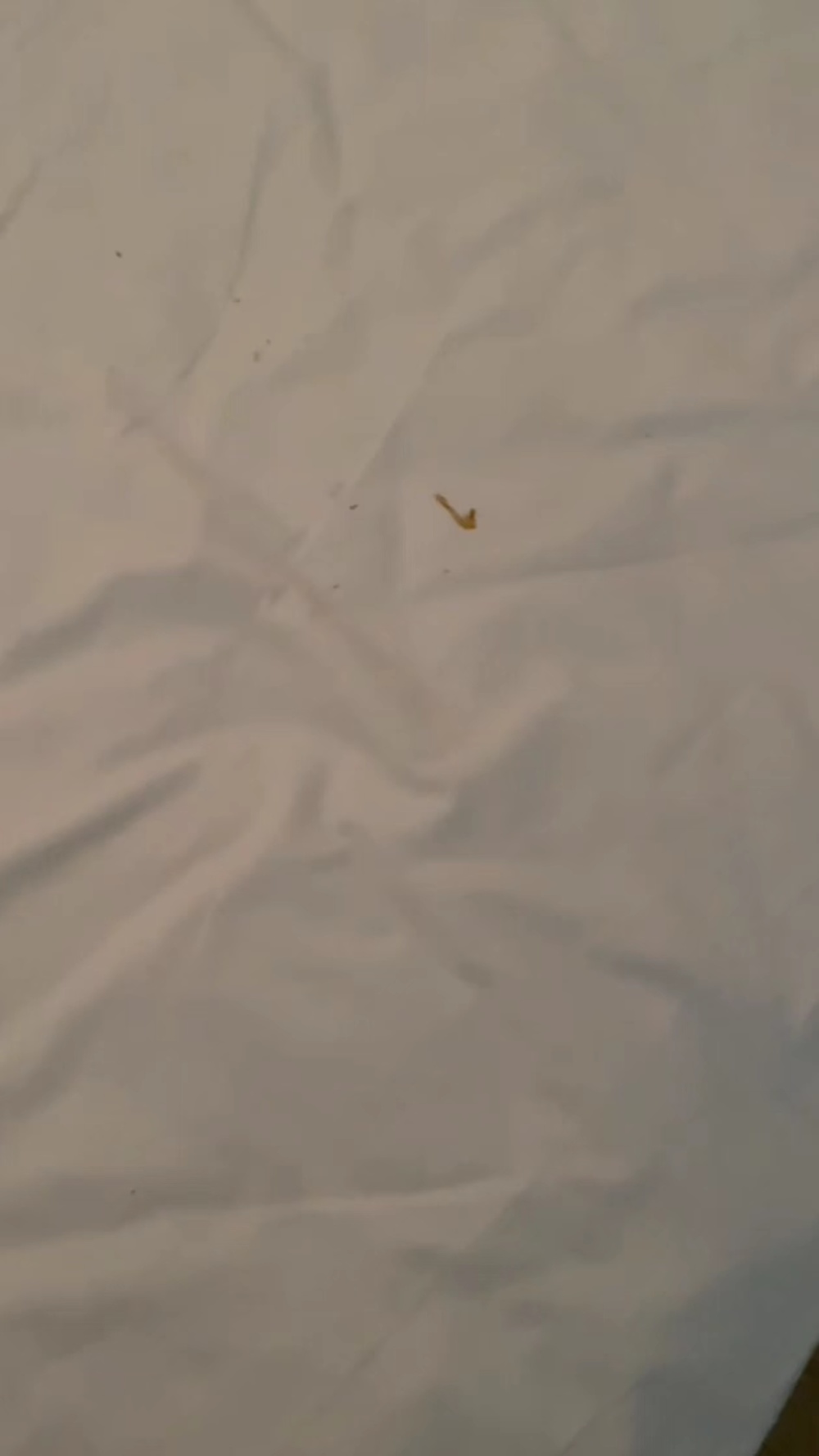 甘孜一酒店床单被罩现棕色污渍,顾客获赔2晚房费,酒店:清洁人员没注意