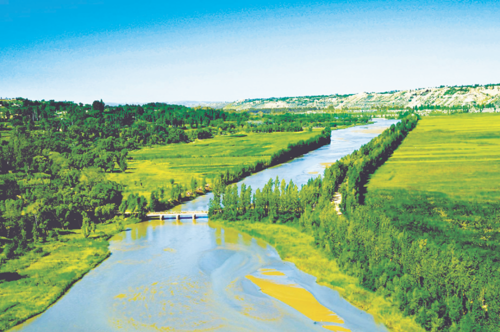 美丽中国相册三北工程万里风沙线上的绿色奇迹