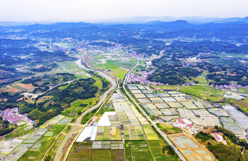 谢东摄南丰县太和镇丹阳村,甲鱼塘星罗棋布,犹如大地调色板.