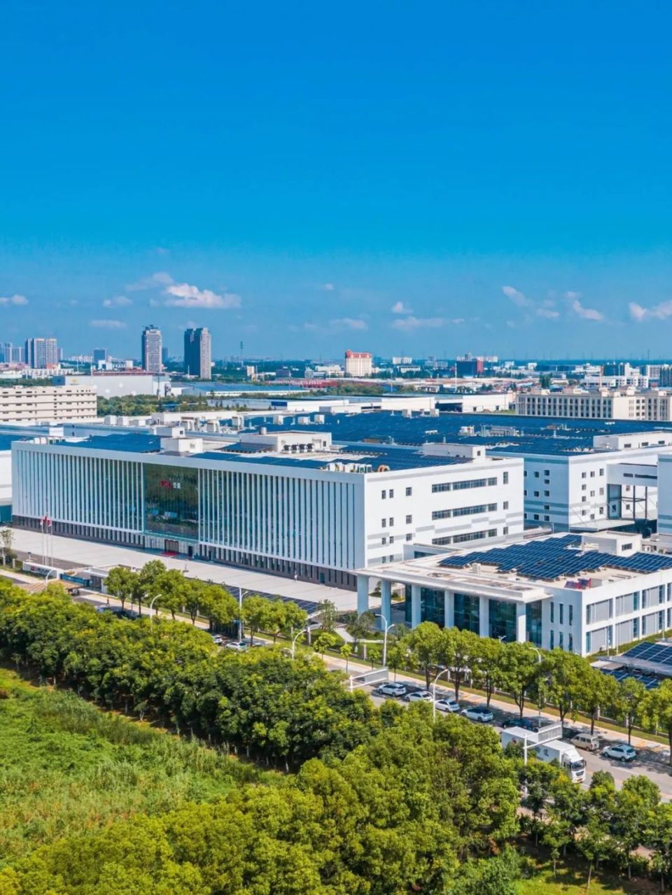 重镇武汉,向新逐绿!