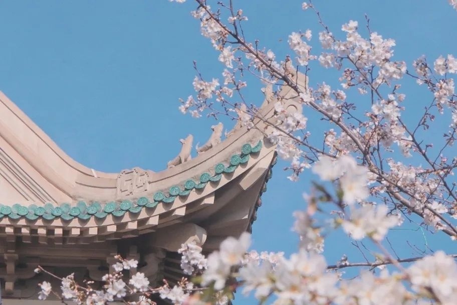 武汉大学发布2024本科招生章程_腾讯新闻