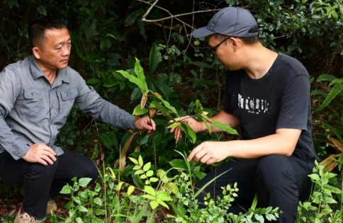 快读会东(内附音频)