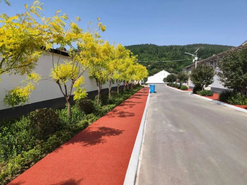 淄川区龙泉镇打造美丽乡村示范路助力全域公园建设