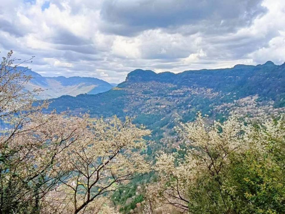 苍溪风景图片图片