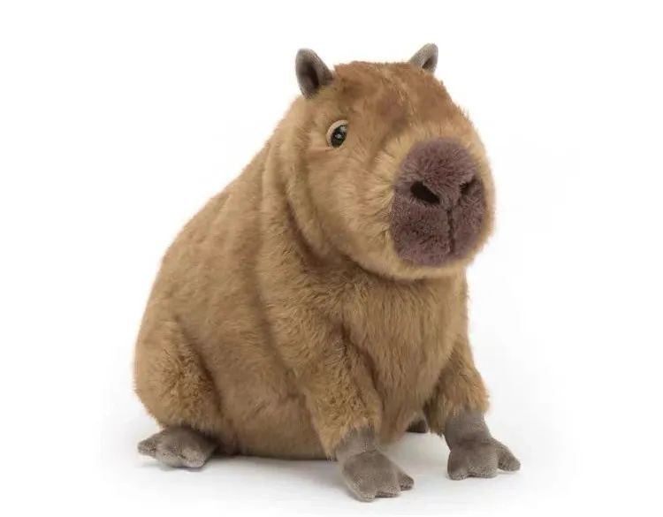 为求情绪稳定,年轻人养水豚:十几万一只,做牛马伺候,身心俱疲