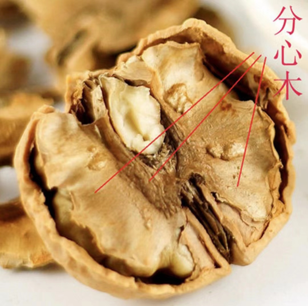 果实累累,该镇的镇长介绍说这株"老寿星"年产核桃约20000颗,其果实个