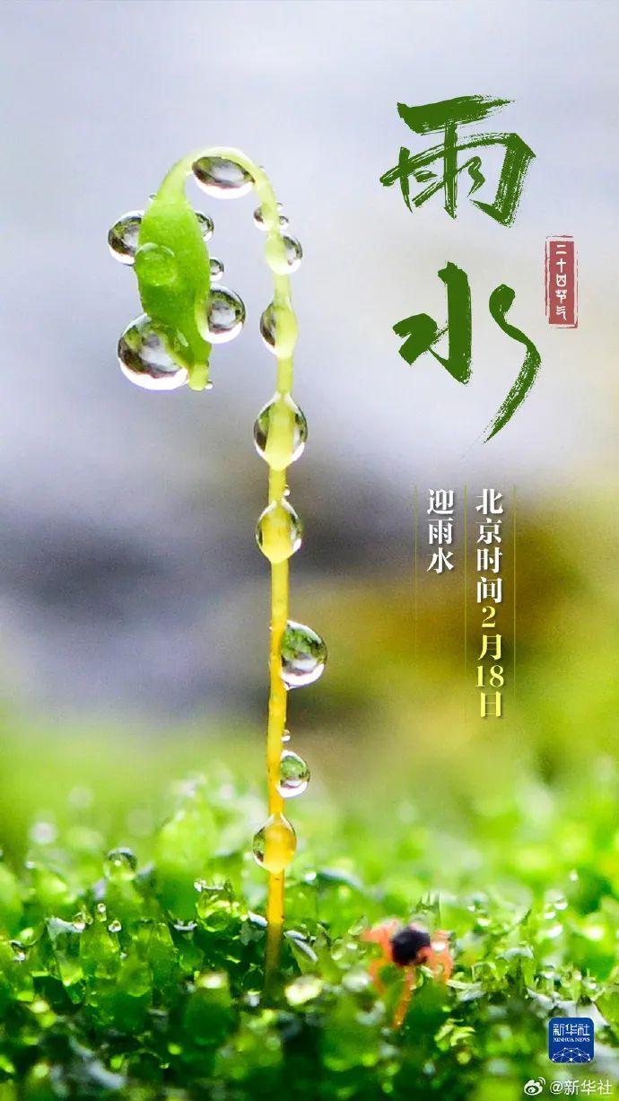 今日雨水 春意渐浓