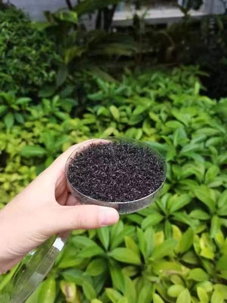 以蚊攻蚊