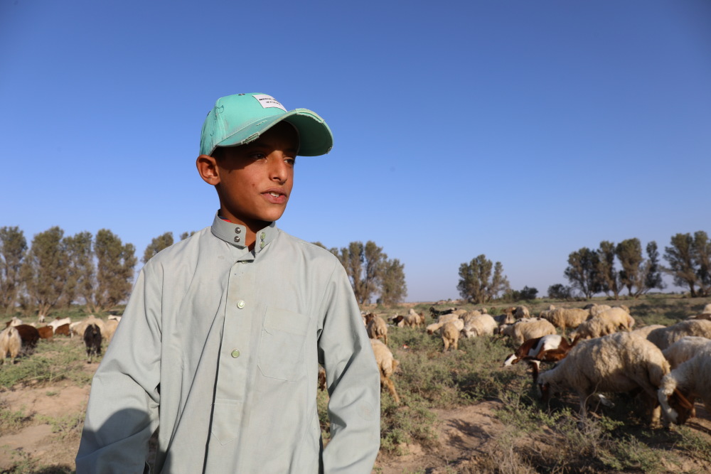 伊拉克放羊娃的儿童节心愿