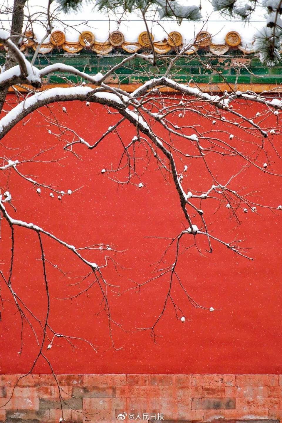 故宫雪景再上新