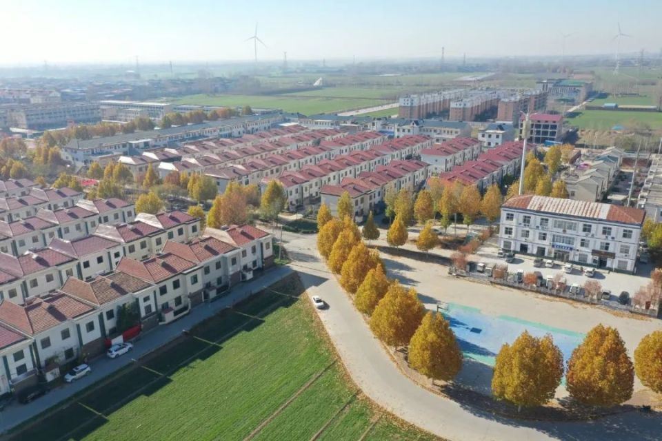 五星耀新乡乡村蝶变看头雁记获嘉县亢村镇亢北村党总支书记村委会主任