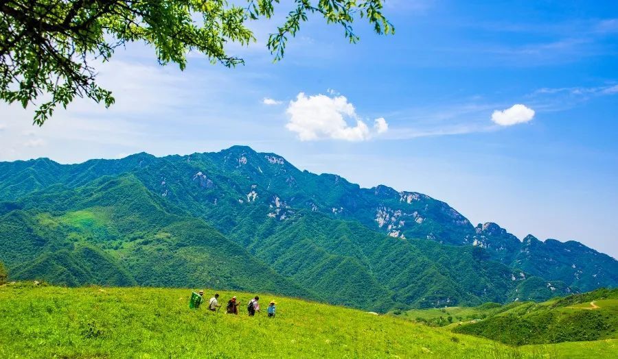 夏至后三伏天快到！网传这时练八段锦最佳？真有这么神奇？