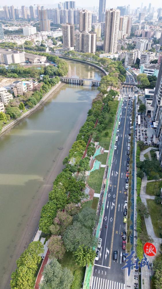 打通4条断头路！广州荔湾花地河东侧道路建成通车_腾讯新闻