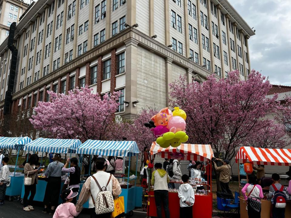 花期长达一个月今年这里赏樱花又美出一个新高度