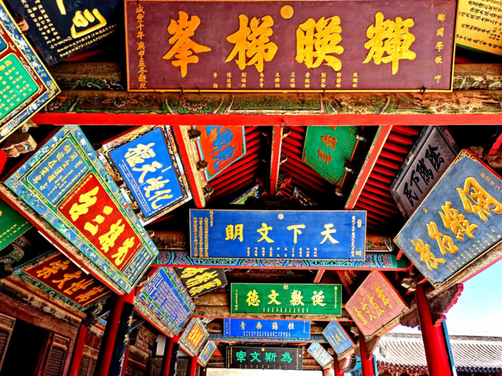 新线开通福利来了!