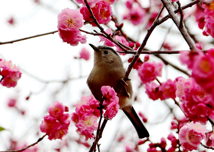 春影148上游主题摄影征稿作品展李诗素作品