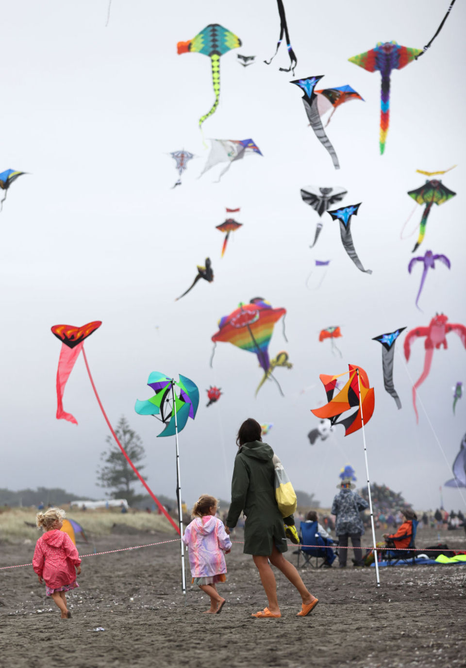 新西兰举行2024奥塔基风筝节