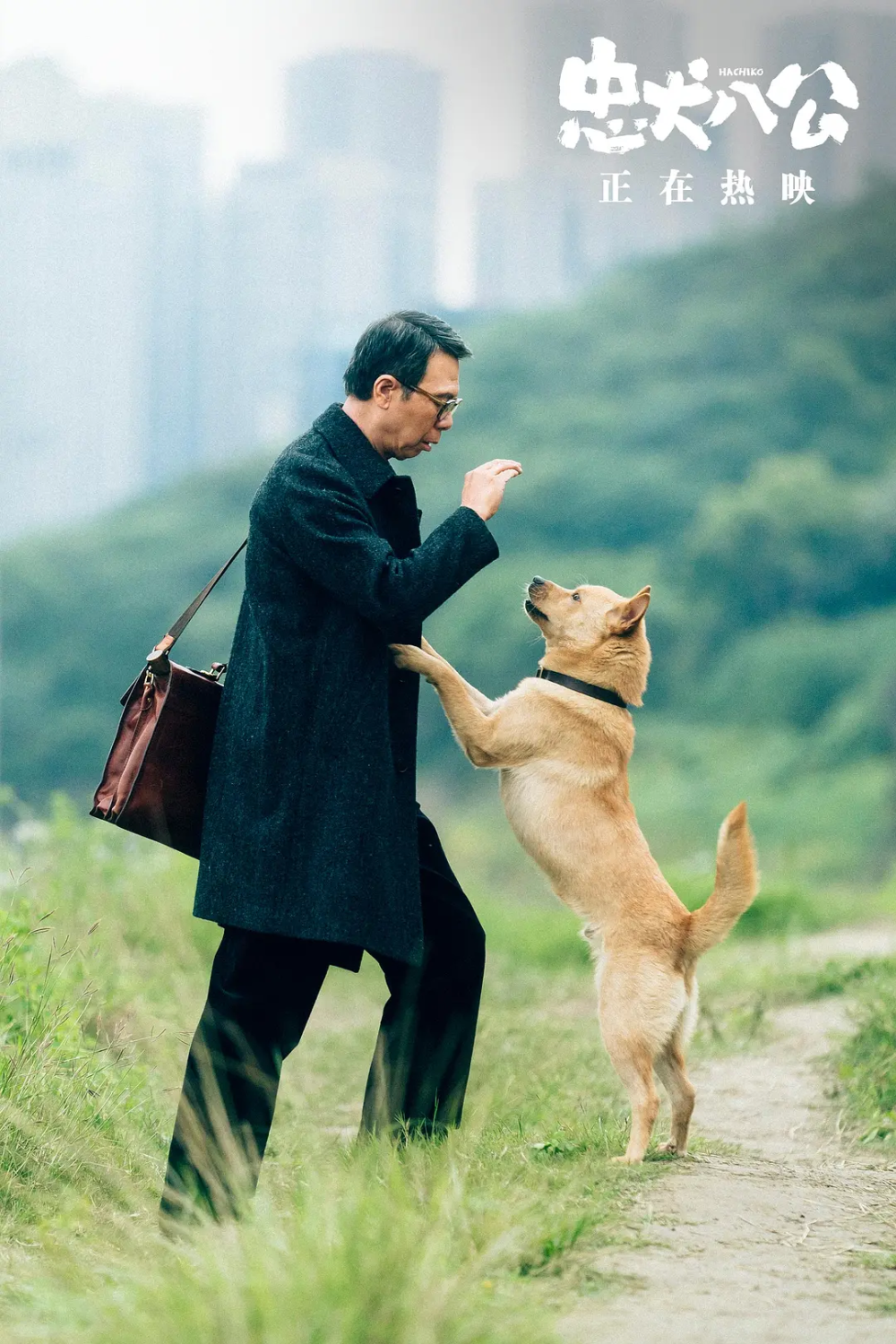 《忠犬八公》票房成功,冯小刚却开心不起来,吐露心酸往事_腾讯新闻