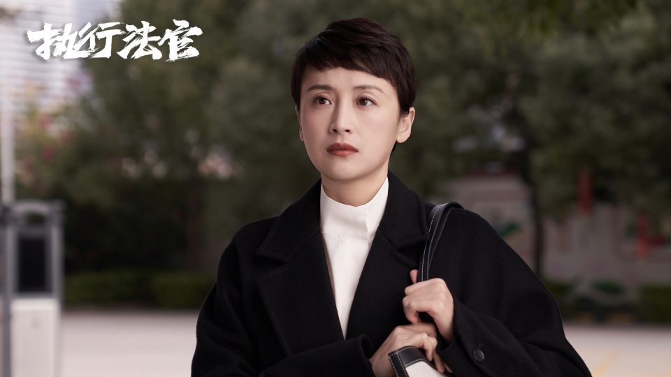 电视剧《执行法官》大结局