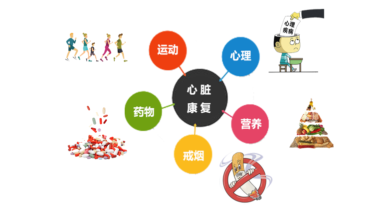 心脏康复的内容▲需要改善心肺功能的亚健康人群.