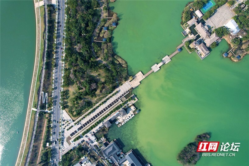 醉美踏春行丨春来碧水柳垂帘,航拍长沙月湖公园之春_腾讯新闻