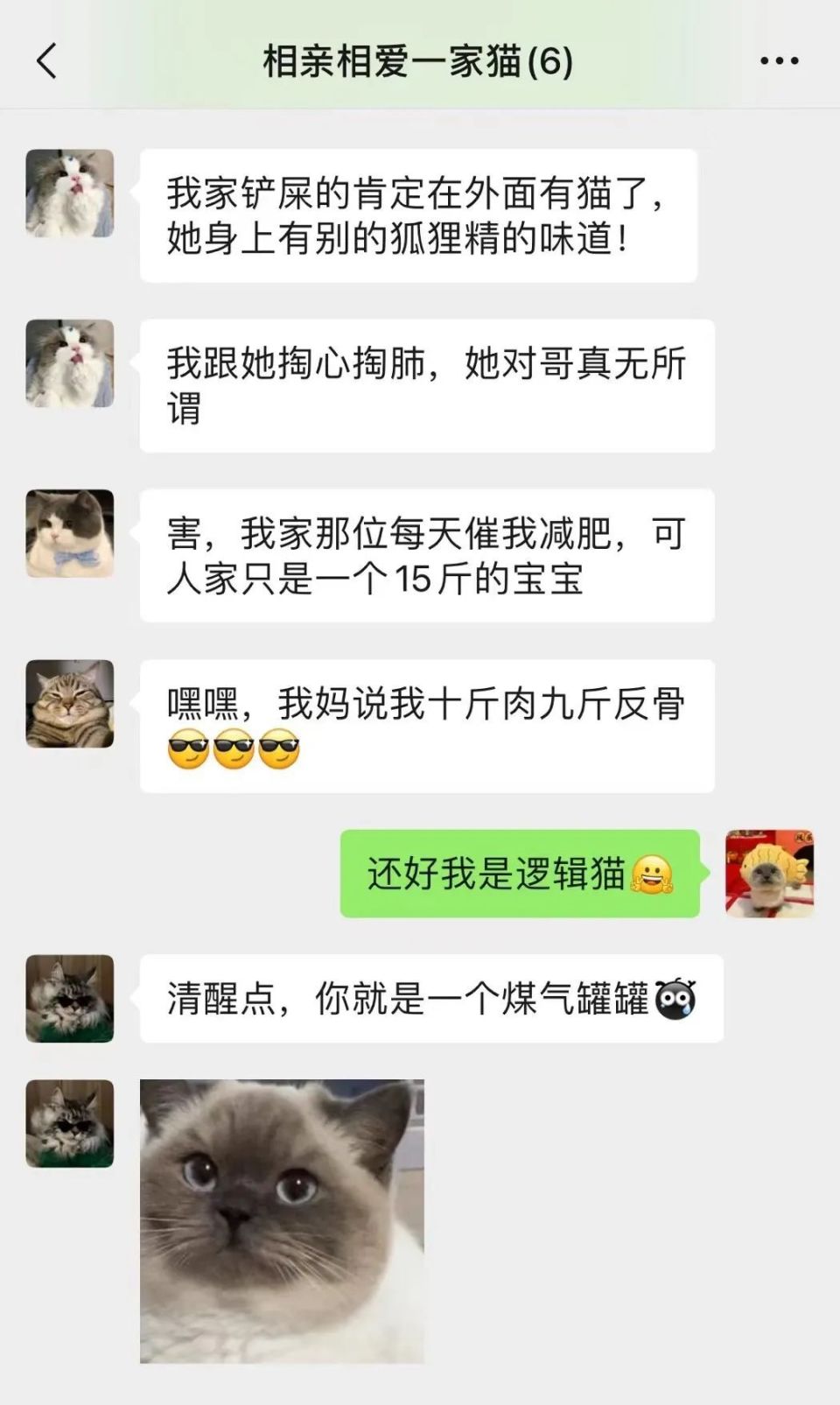 养狗微信群截图图片