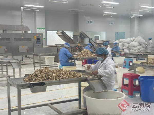 [南方生姜网-图片加载]
