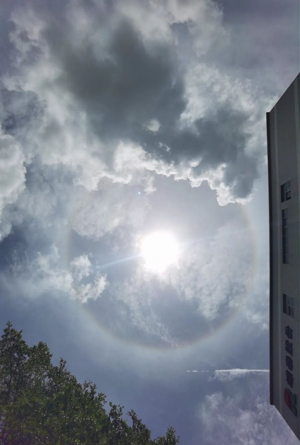 珠海上空现绝美日晕,自带"彩虹光环"!