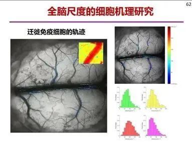 人工智能认知研究_搭建桥梁_搭建沟通的桥梁