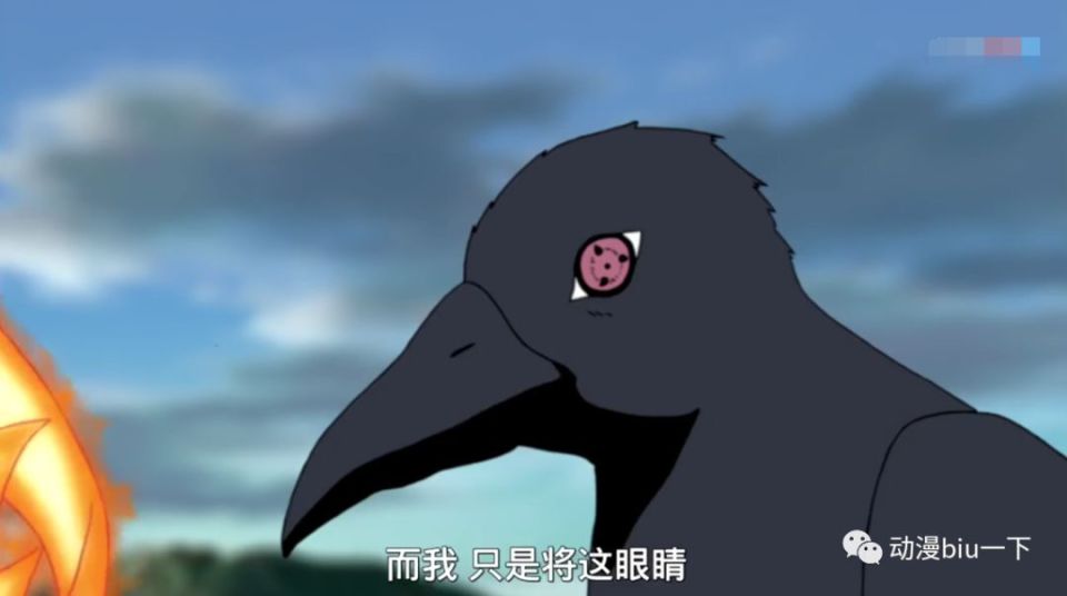 最后一个移植了写轮眼的并非是忍者,而是一只乌鸦,这只乌鸦是宇智波鼬