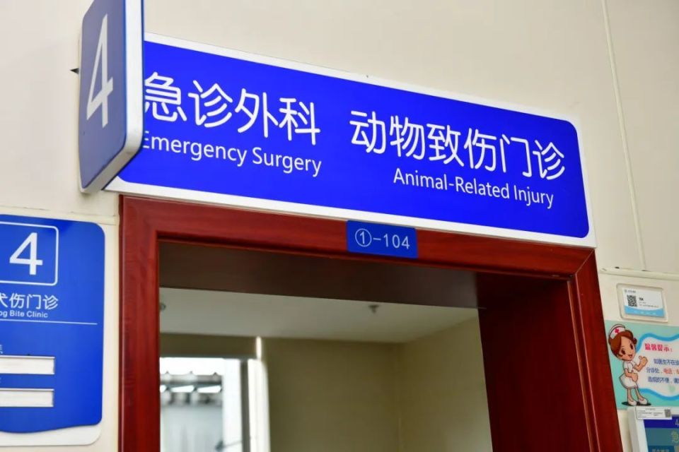 初诊患者最多的一天,就有15人因被猫狗等动物亲密"接触"来到医院
