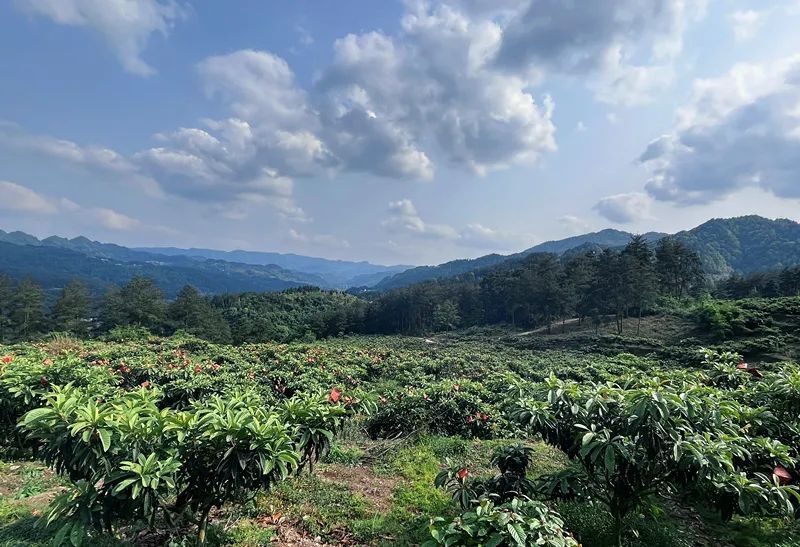 在息烽鹿窝镇欢乐一夏