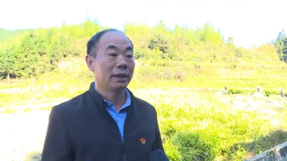 [南方生姜网-图片加载]