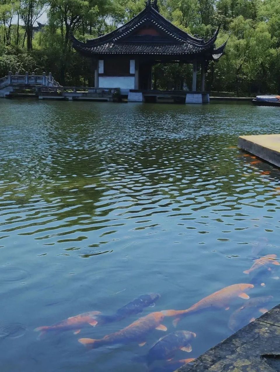 山水风景图片真实花鸟图片