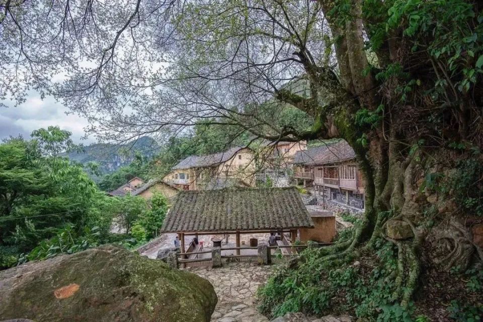 乡游黔中 | 册亨县坛坪村:村中有画,画中有村,乡村如画皆成景