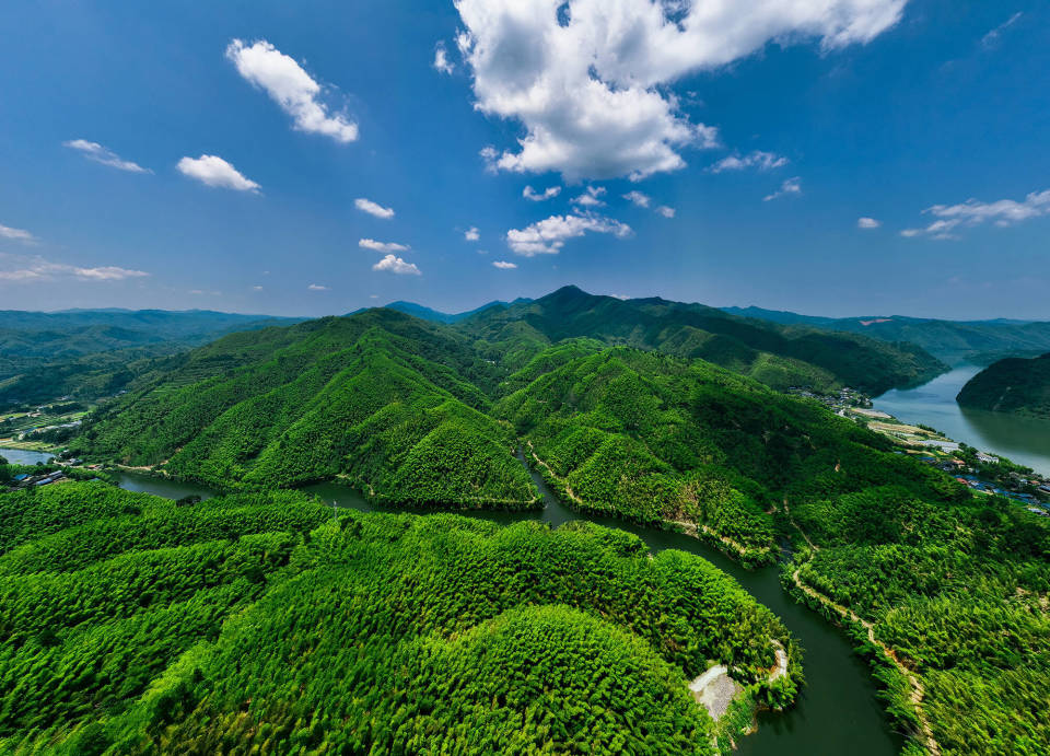 壮大产业根基 挺起发展脊梁——会同以大产业"顶天立地"带动小产业"铺