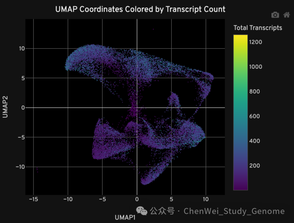 【陈巍学基因】视频：解读 Xenium 检测 Demo 版报告_腾讯新闻